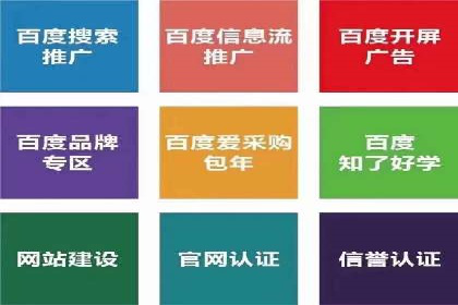 百度SEO推广公司成功案例：助力企业实现流量暴增